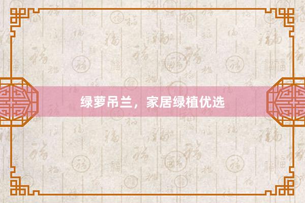 绿萝吊兰，家居绿植优选